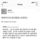 '애호박' 유아인씨, 전 '폭도'인가요 '진정한 여성'인가요? 이미지