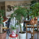 블루홀스 승마센터 이미지