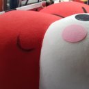 새백양세탁소 이미지