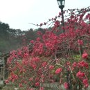 지리산풍경펜션
