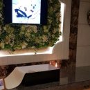 (주)펫바라기 이미지