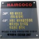 헤어코코 이미지