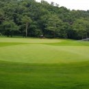 투그린(2GREEN) 이미지