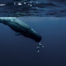 블루홀(BLUE HOLE) 이미지