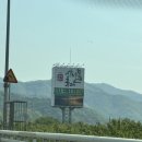 더라인(양평) | 2025 양평 용문산 산나물축제 🌱 토요일 방문후기 구입추천항목 강아지 동반 댕이트엔양평with8코기 솔직...