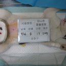 신월동016 이미지