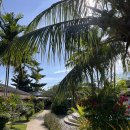 카와 | 보홀 마사지 추천 카와스파 내돈내산 후기