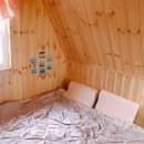 조이애견 이미지