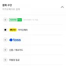 브랜디_카카오페이