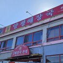 함안 로컬 맛집 양평해장국 함안산인본점 내돈내산 후기