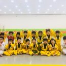 경희대호림태권도장 이미지