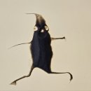 검단노인복지관(8) 이미지