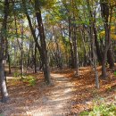 오현로20길 이미지