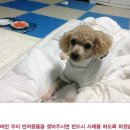 가라뫼사거리 이미지