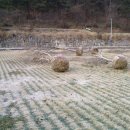 빼올약수터 이미지