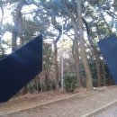 여섯개의 집들 이미지