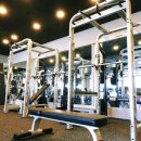 팀레드휘트니스 이미지