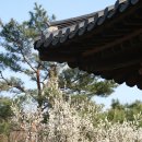 [공지] 📷 41번째 출사지: 남산골한옥마을 서울남산국악당