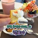 버디버디A | [인천 부평] 부평 캔모아 다녀왔ㄷr . . .알zl ? 부평역 카페 추억의 Cafe. . ☆