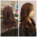 에코헤어 이미지