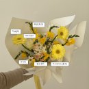 맨디데이즈 이미지