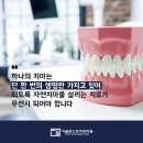 서울쿤스트치과의원 네이버블로그