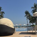 대희푸드 이미지