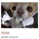 추적 60병 | 135) [마케팅 부트캠프/퍼포먼스 마케터 취업 준비] 도와세움 디마에 85기 살려세움 입성기 - 2/왓츠인...