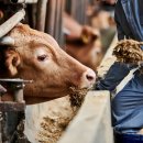 에이치앤비글로벌 이미지