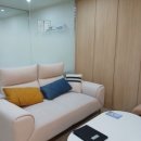 리온 메디 이미지