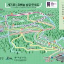 치유의 숲 이미지