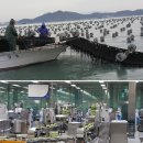 웰빙참치 이미지