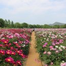 황강생태공원1 이미지