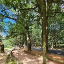 속리산보건지소 이미지