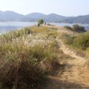 꽃님이네 이미지