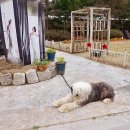 스튜디오라자 이미지