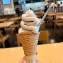 이네 | ✿오사카여행기✿ - 라쿠투어 후기(이네후나야&amp;아마노하시다테)