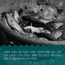 우리실내낚시터 이미지