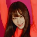 하니비디오 이미지