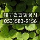 행정사김덕수 이미지