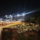 장성 꽃 화원 이미지