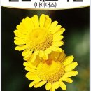 주식회사골든농업회사법인 네이버블로그
