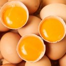 한우사육축사 | 방사 유정란 난각번호1번 구입해야 해요