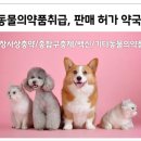 펜타약국 이미지