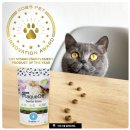 드림덴탈 | [신기펫케어 서포터즈] 뒤늦게 쓰는 프로덴 플라그오프 후기