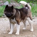 태권농장 이미지