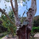 태림농원 이미지