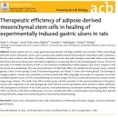 미다스 메디칼 이미지