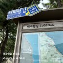 해파랑길 31코스 후기 🇰🇷 한적한 농촌 마을 둘레길 / 카카오 대한민국 한바퀴 챌린지
