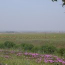 신대륙목장 이미지